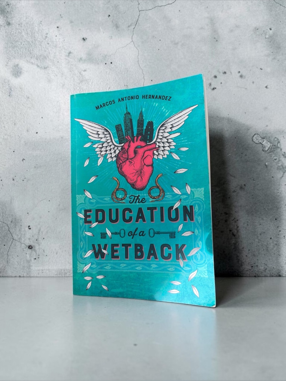 THE EDUCATION OF BY MARCOS ANTONIO HERNANDEZ PAPERBACK BOOK